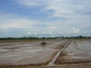 farming_in_An_Giang