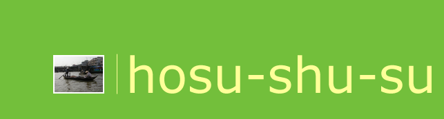 top banner